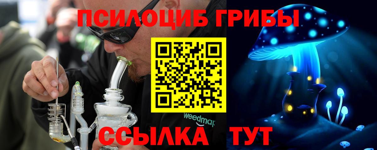 Губкинский  Галлюциногенные грибы мухоморы  купить наркотик  Вход с VPN 